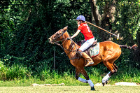 DSC_3525-2 copy