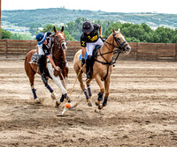 Polo 2021