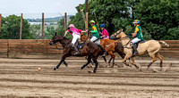 _DSC4168