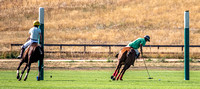 _DSC1360_1