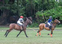 DSC_0067 copy