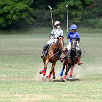 DSC_0078 copy
