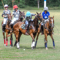 DSC_0085 copy