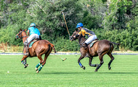 _DSC4164 copy